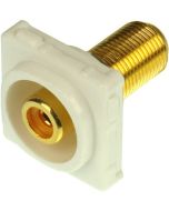 Digitek Recessed White RCA Female to F Female Insert - Orange