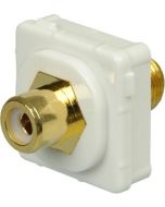 Digitek White RCA Female to F Female Insert - White