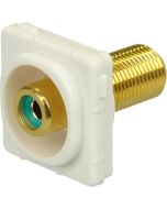 Digitek Recessed White RCA Female to F Female Insert - Green