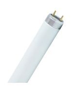 Blacklight UV 18W Insect-O-Cutor 32x600mm Fluorescent Lamps