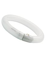 SYLVANIA T9 CIRCULAR FC32W COOL WHITE HALO-PHOSPHOR 201420