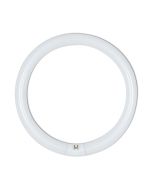 Circular T9 Fluorescent Tube 32W Daylight - 16072