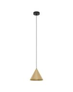 Narices 1 Light Pendant Brushed Brass 99591N