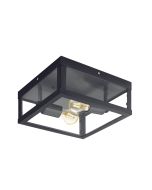 Alamonte 1 Industrial Outdoor Ceiling Light E27 60W Black - 94832