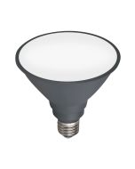 LED Par38 Globe 12w Warm White