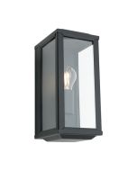 ANGLESEA 1LIGHT EXTERIOR  WALL LIGHT (ANGL1EBLK) BLACK COUGAR LIGHTING