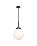 Garman 1 Light Pendant Light in Black - GARM1PBLK