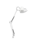 Focus 1 light magnifier clamp lamp