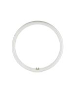 OSRAM Circular Fluoro T5 32W G10Q (245mm) (4000k or 6500k)