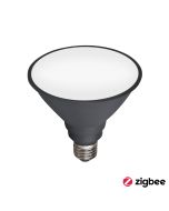 PAR38 15W SMART LED GLOBE E27 CCT CHANGEABLE - S9E27LEDP38-ZB