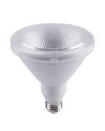 PAR38 LED Globes SUB3