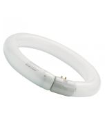 allume 32W Circular Fluorescent Globe 3000k Warm White - A-FCL32/830