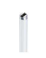 Philips Tube 10W 350mm T8 cool White TLD10W33