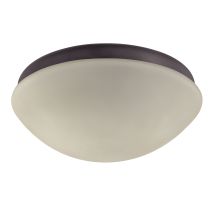 Outdoor Elements II Ceiling Fan Light Kit Bronze - 24335