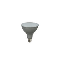 SupValue PAR38 Lamp IP65 5000K E27 - 252005