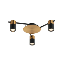 Interior Spot Ceiling 3 Lights with Adjustable Heads  TACHE4