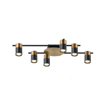Interior Spot Ceiling 6 Lights with Adjustable Heads TACHE6