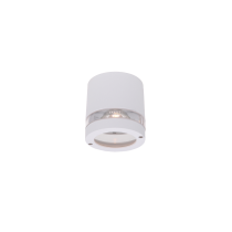 Focus Ceiling White Metal/PC IP44 GU10 - 874231