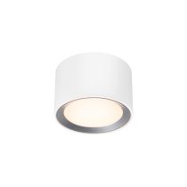 Landon Smart Ceiling light White-2110840101