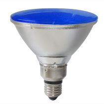 Blue PAR38 12W LED Light Bulb - 20826