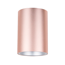 SURFACE GU10 Round Surface Mounted Fixed Downlight Powder Pink With Silver Diffuser - SURFACE19