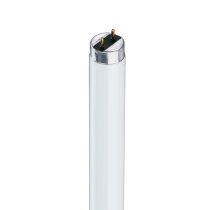 Philips Tube 10W 350mm T8 cool White TLD10W33