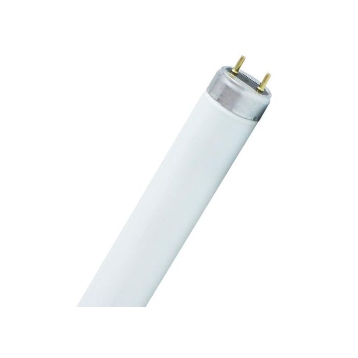 Blacklight UV 18W Insect-O-Cutor 32x600mm Fluorescent Lamps