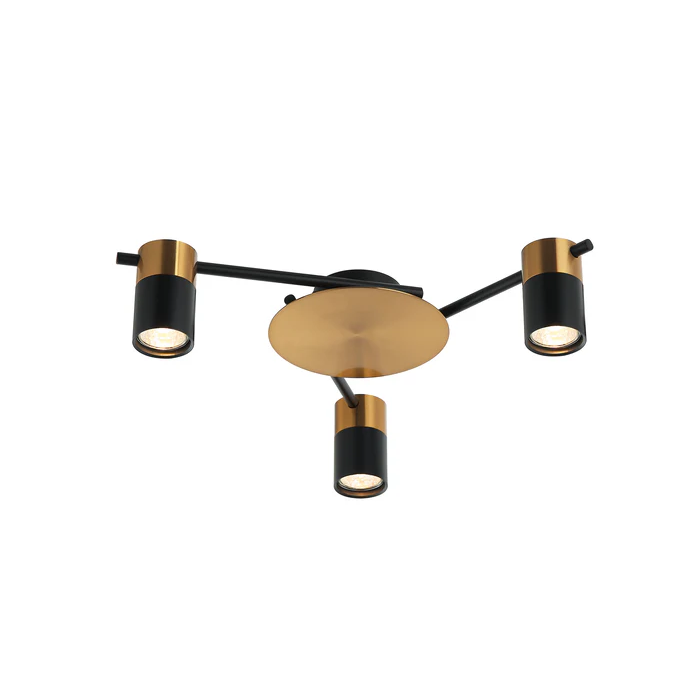 Interior Spot Ceiling 3 Lights with Adjustable Heads  TACHE4