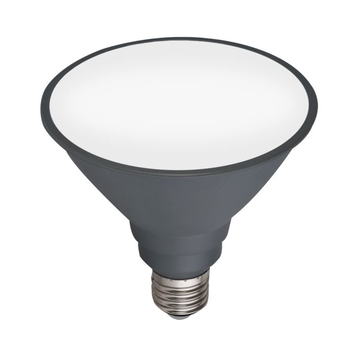 LED Par38 Globe 12w Warm White