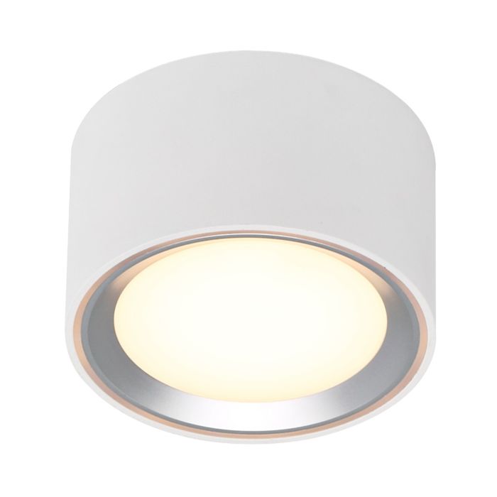 Fallon Surface downlight White/Steel-47540132