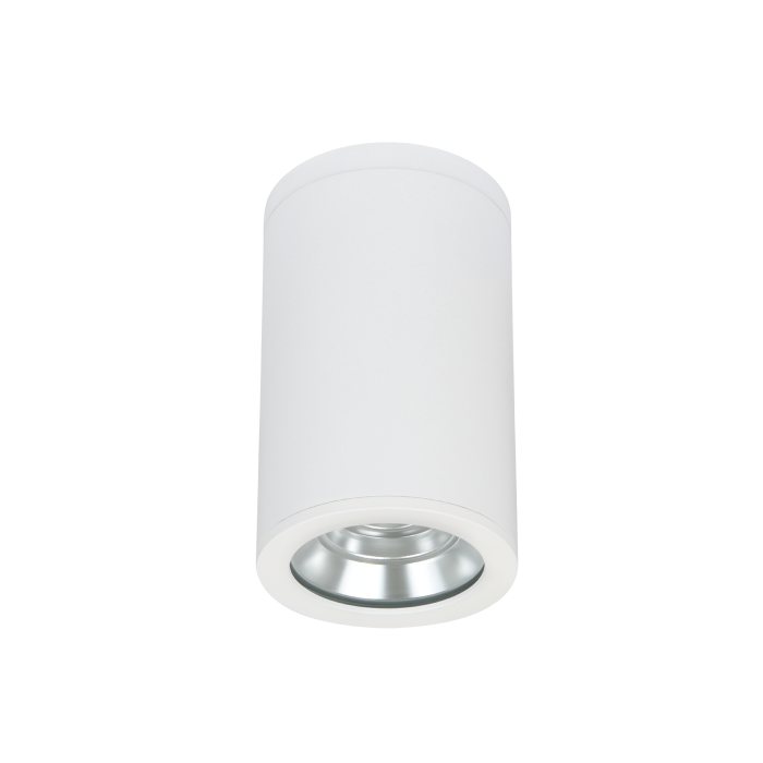 Jenlite Surface Mounted Downlight - 173284