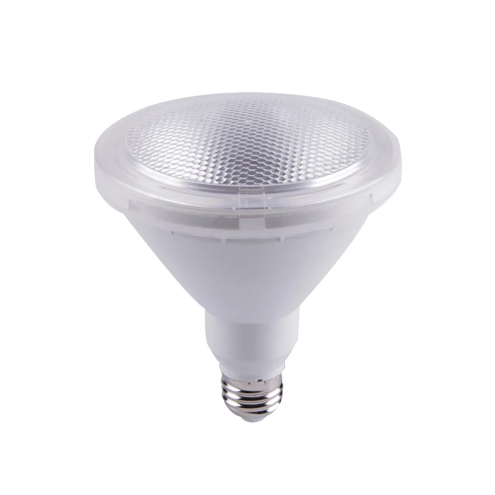 PAR38 LED Globes SUB3