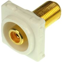 Digitek Recessed White RCA Female to F Female Insert - Orange