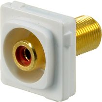 Digitek Recessed White RCA Female to F Female Insert - Red