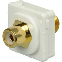 Digitek White RCA Female to F Female Insert - White