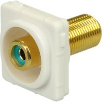 Digitek Recessed White RCA Female to F Female Insert - Green