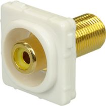 Digitek Recessed White RCA Female to F Female Insert - Yellow