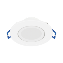 Celeste Gimbal Downlight- 172008A