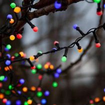 BERRY LIGHTS X700 LED MULTI COLOR 14M 411352N