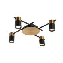 Interior Spot Ceiling 4 Lights with Adjustable Heads TACHE5