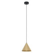 Narices 1 Light Pendant Brushed Brass 99591N