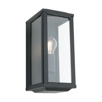 ANGLESEA 1LIGHT EXTERIOR  WALL LIGHT (ANGL1EBLK) BLACK COUGAR LIGHTING