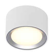 Fallon Surface downlight White/Steel-47540132