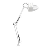 Focus 1 light magnifier clamp lamp