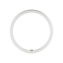 OSRAM Circular Fluoro T5 32W G10Q (245mm) (4000k or 6500k)