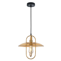 PAPILLON Oblong Iron with Glass Coolie Pendant Lights PAPILLON2