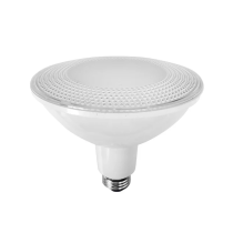  LED PAR38 Globes PAR3802