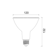  LED PAR38 Globes PAR3802