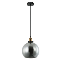 PESIN Swing Arm Glass Pendant Lights PESINI2