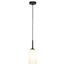 Spotswood 1Lt Pendant Light- MPLS026